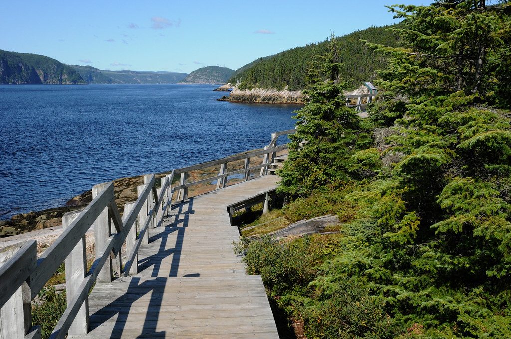 Tadoussac Whale Watching From Shore