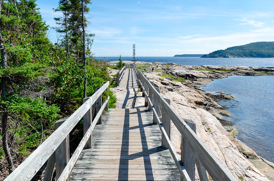 Wooden Boardwalk Section