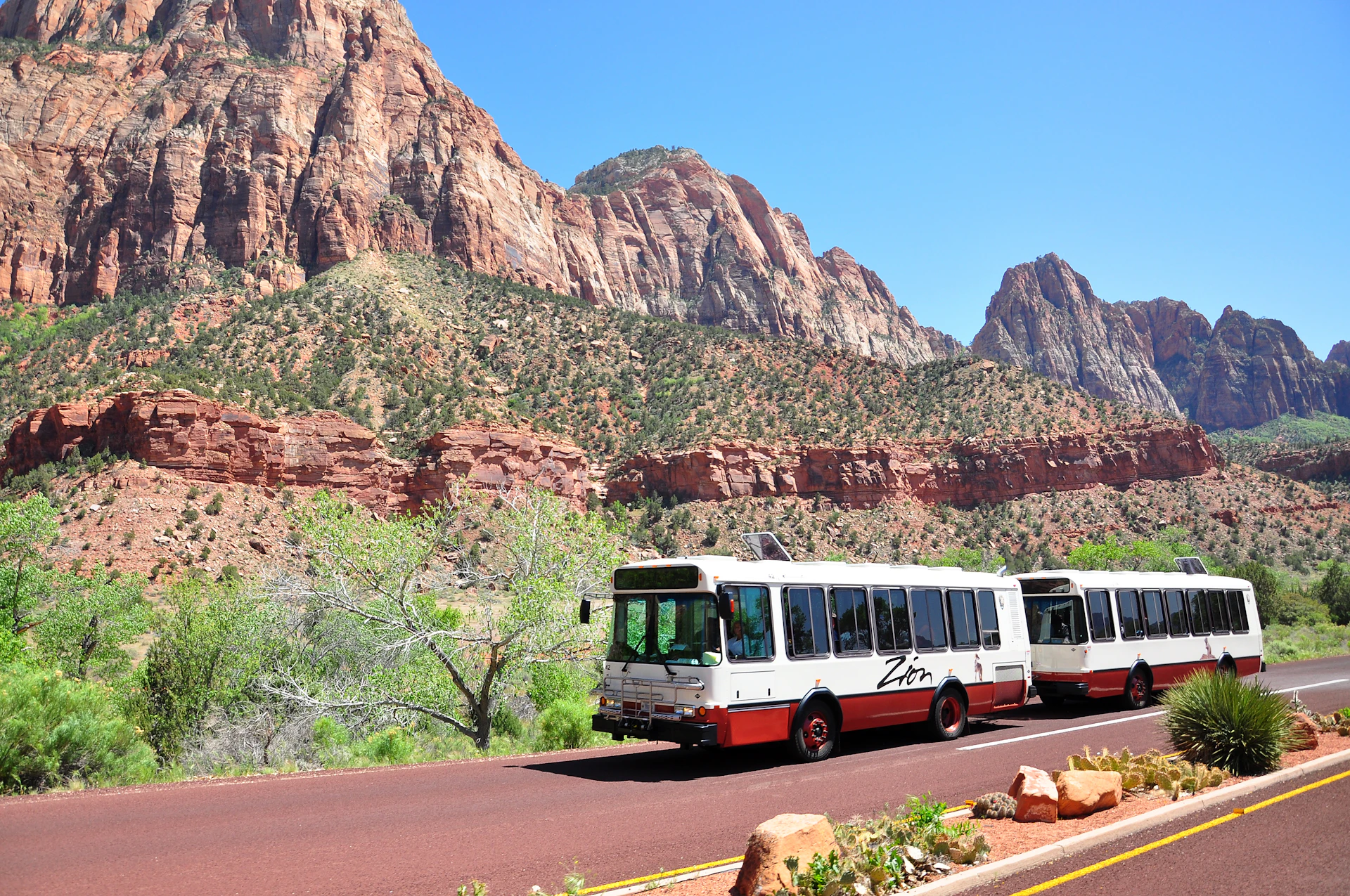 Do You Need a Tour Guide for Zion National Park