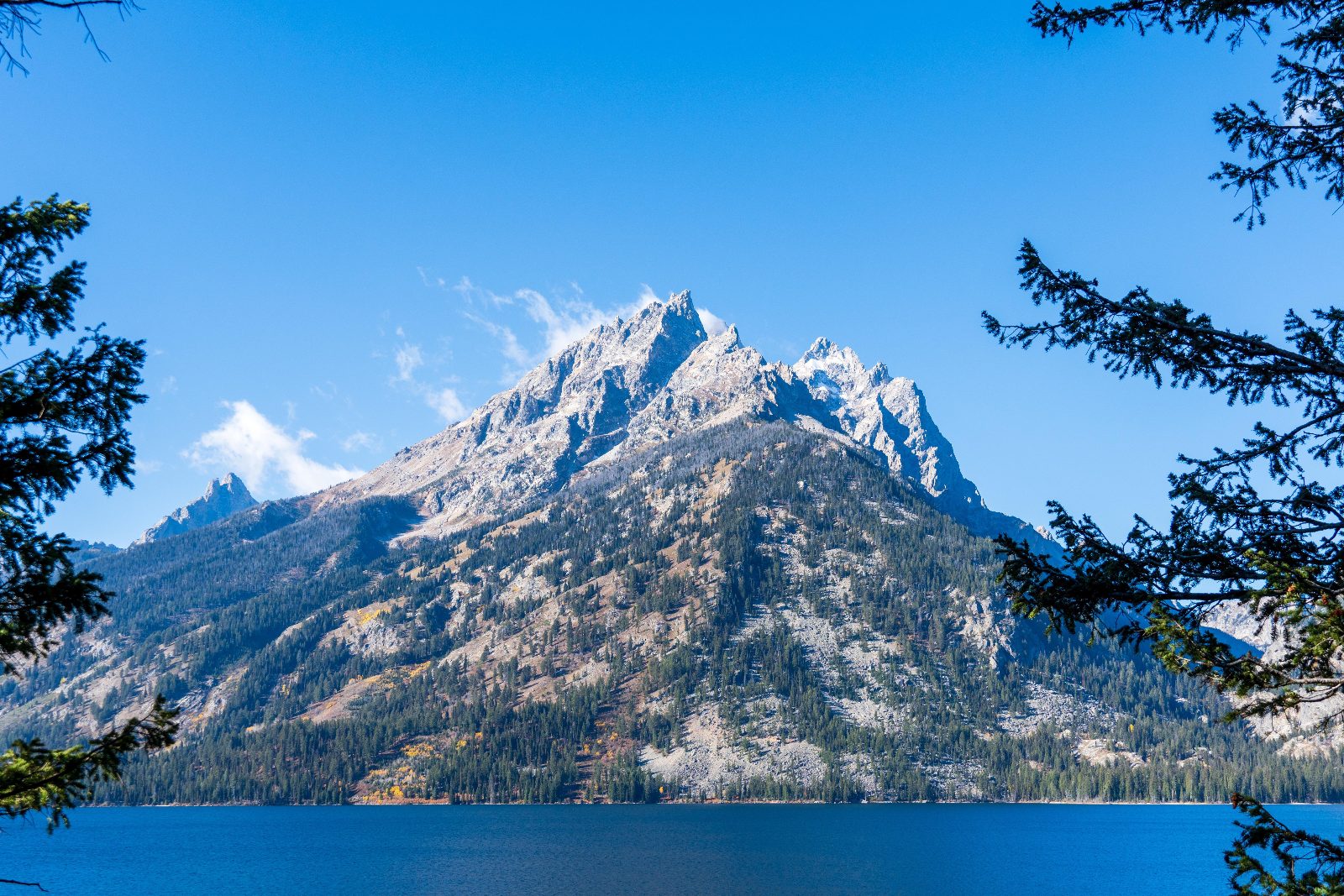Jenny Lake