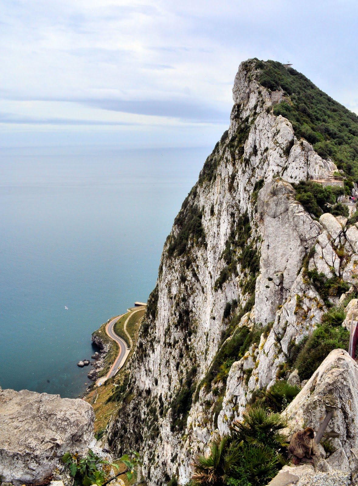 Malaga to Gibraltar Day Trip by Car