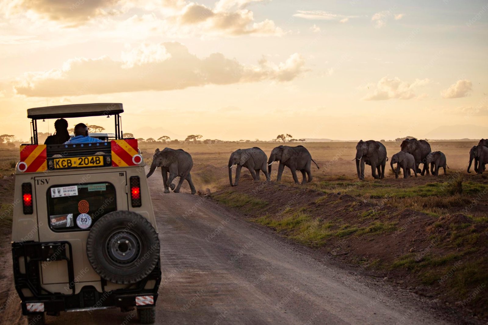 Is Serengeti Safari Safe