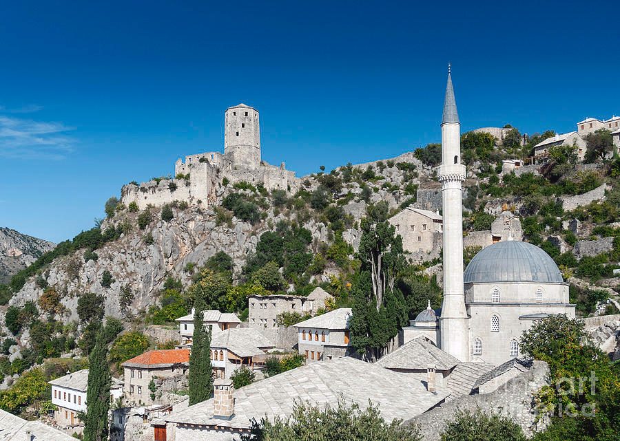 Pocitelj