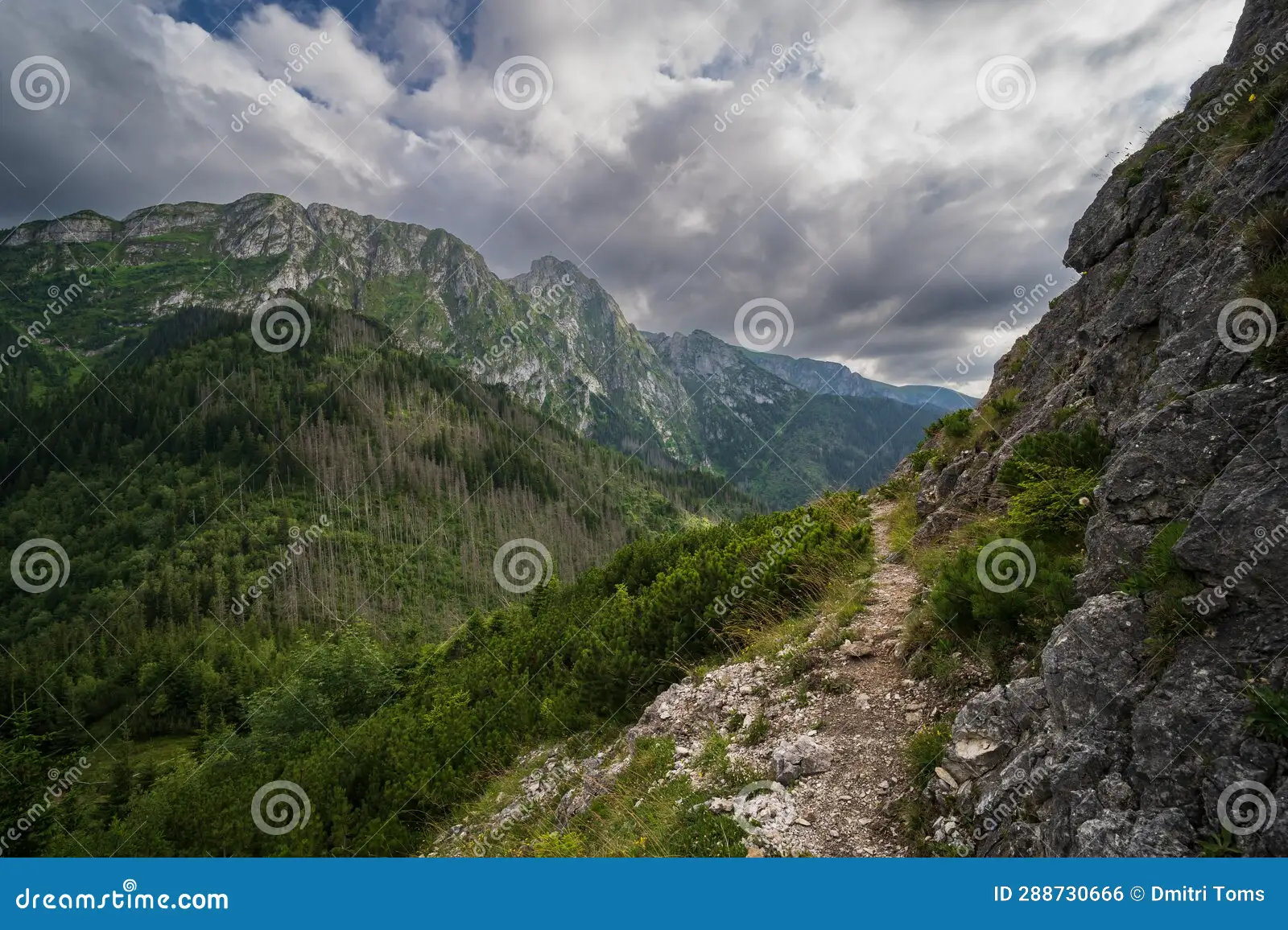 Zakopane Tour From Krakow Price