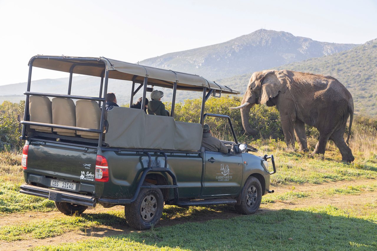 Garden Route Safari Camp Reviews