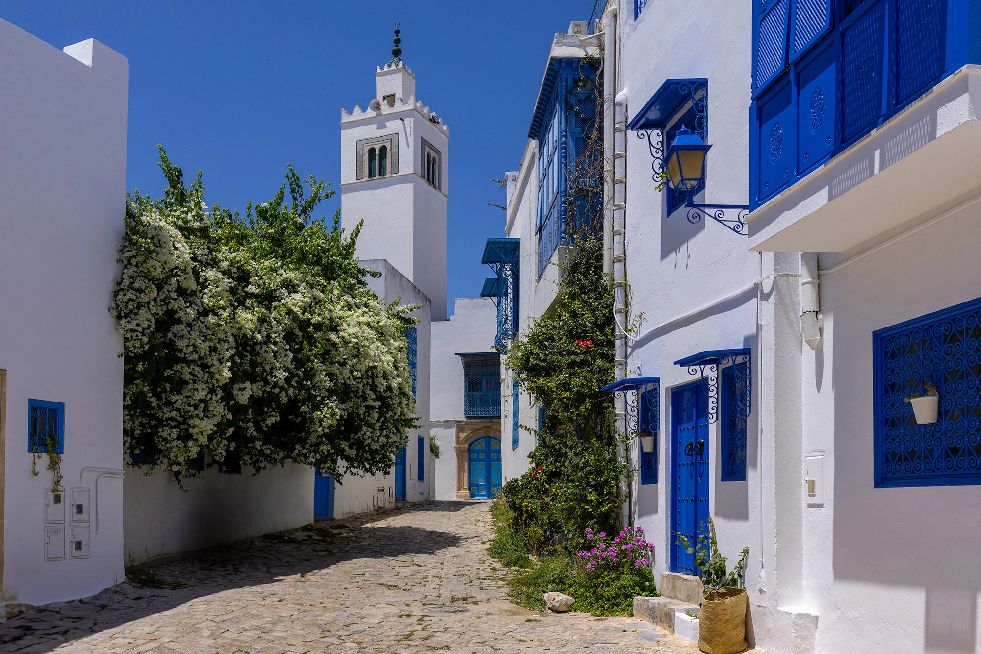 Sidi Bou Said