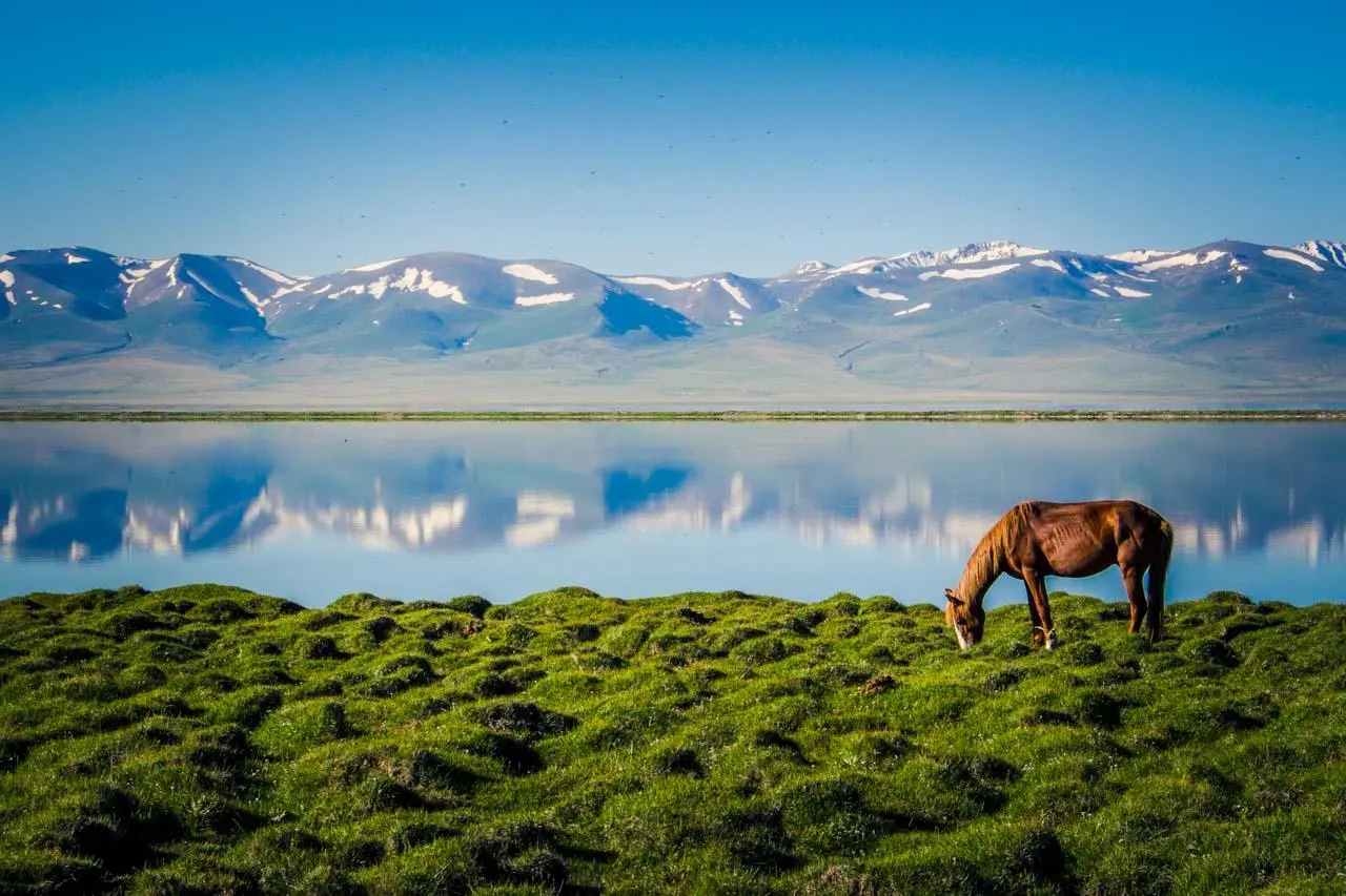 Song Kul Horse Trek Price