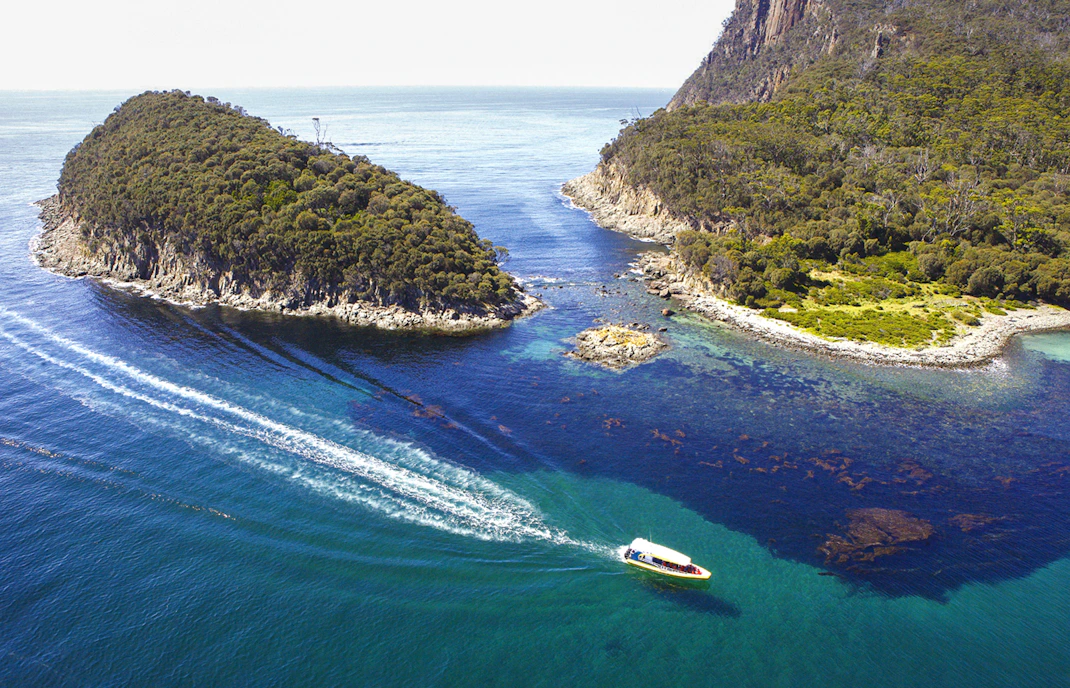 Bruny Island Wilderness Cruise Reviews