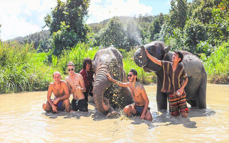 Your experience at Koh Samui Elephant Sanctuary