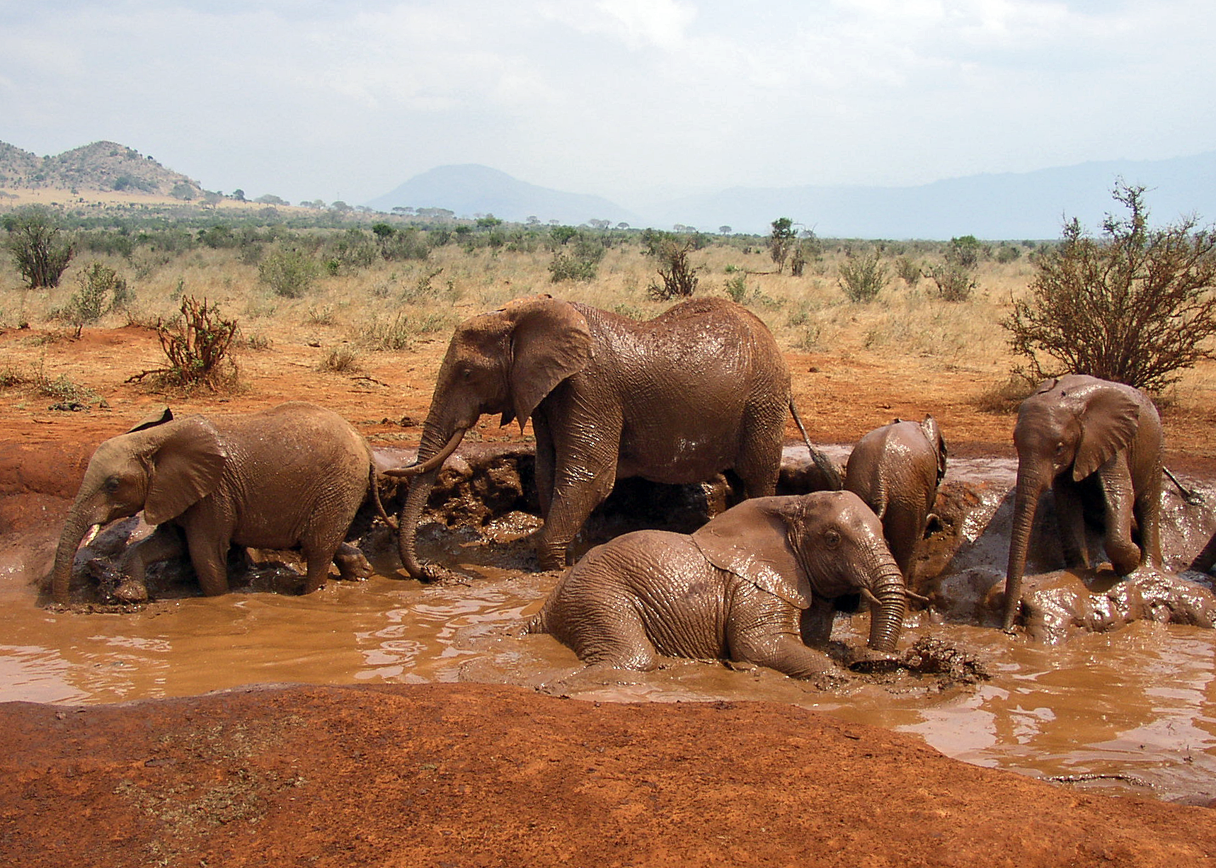 Mud Bathing Zone