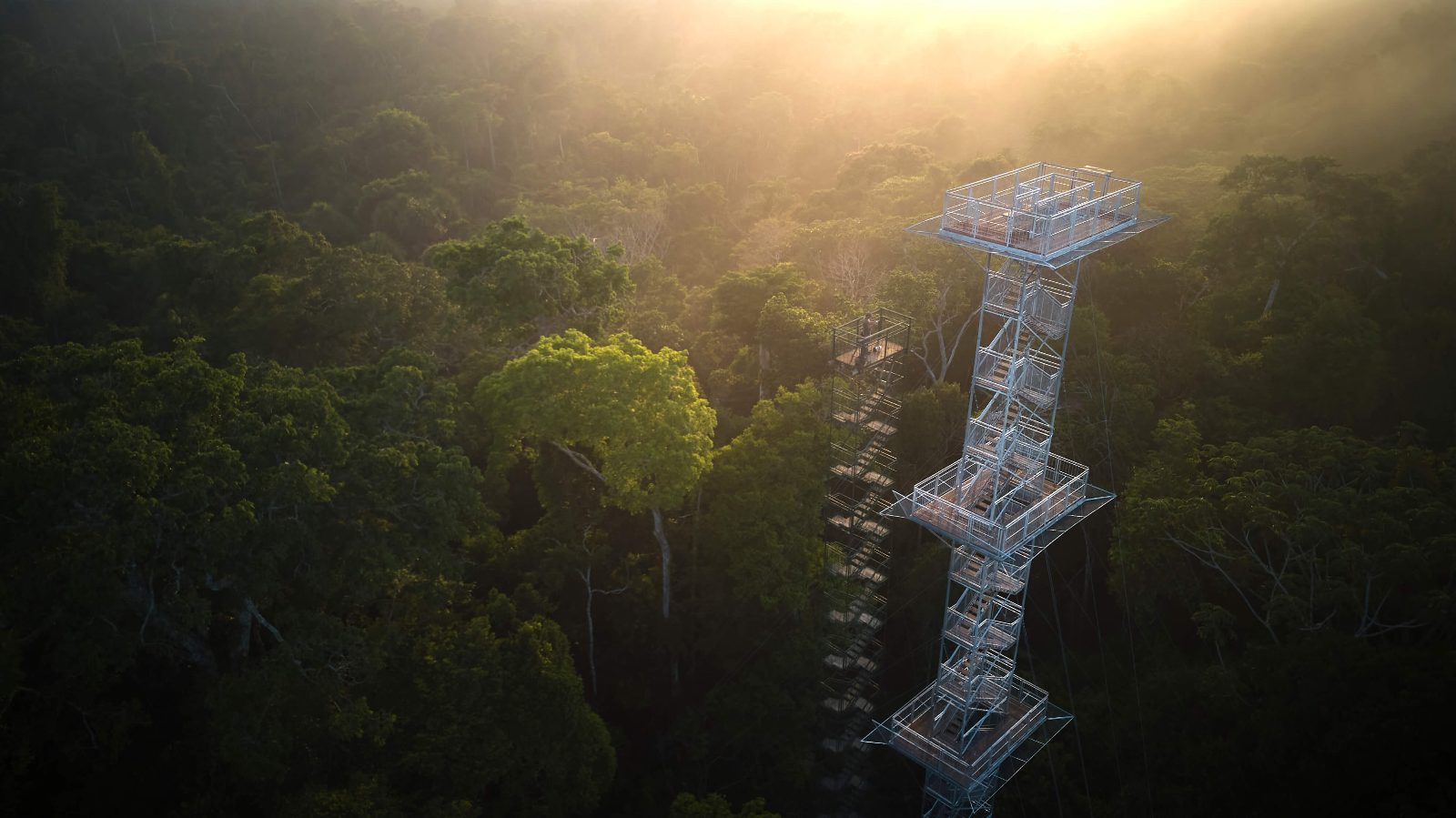 Canopy Platform