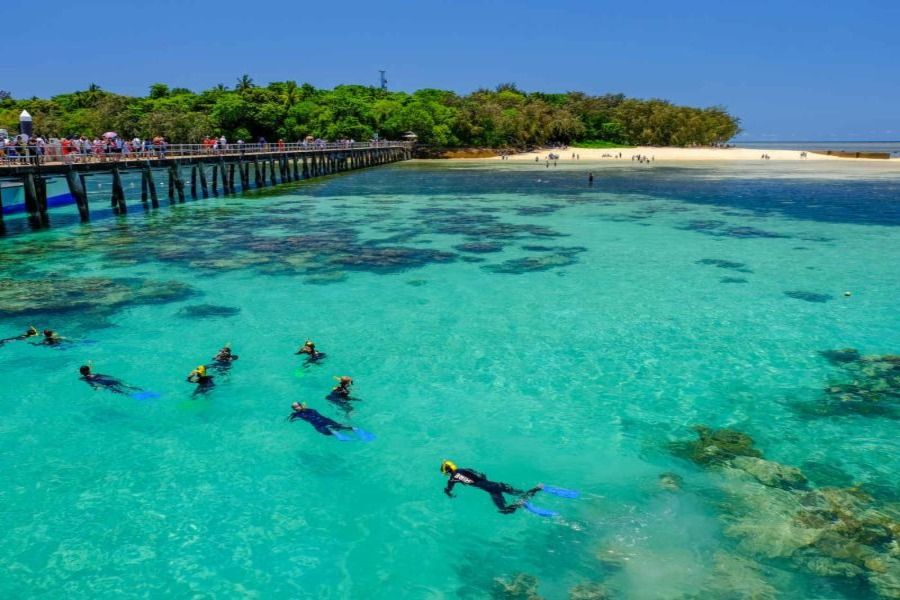 Your experience at Fitzroy Island Ferry