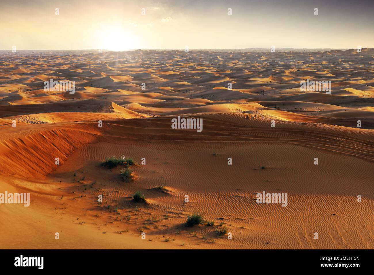 Your Abu Dhabi Desert Safari Experience Explained