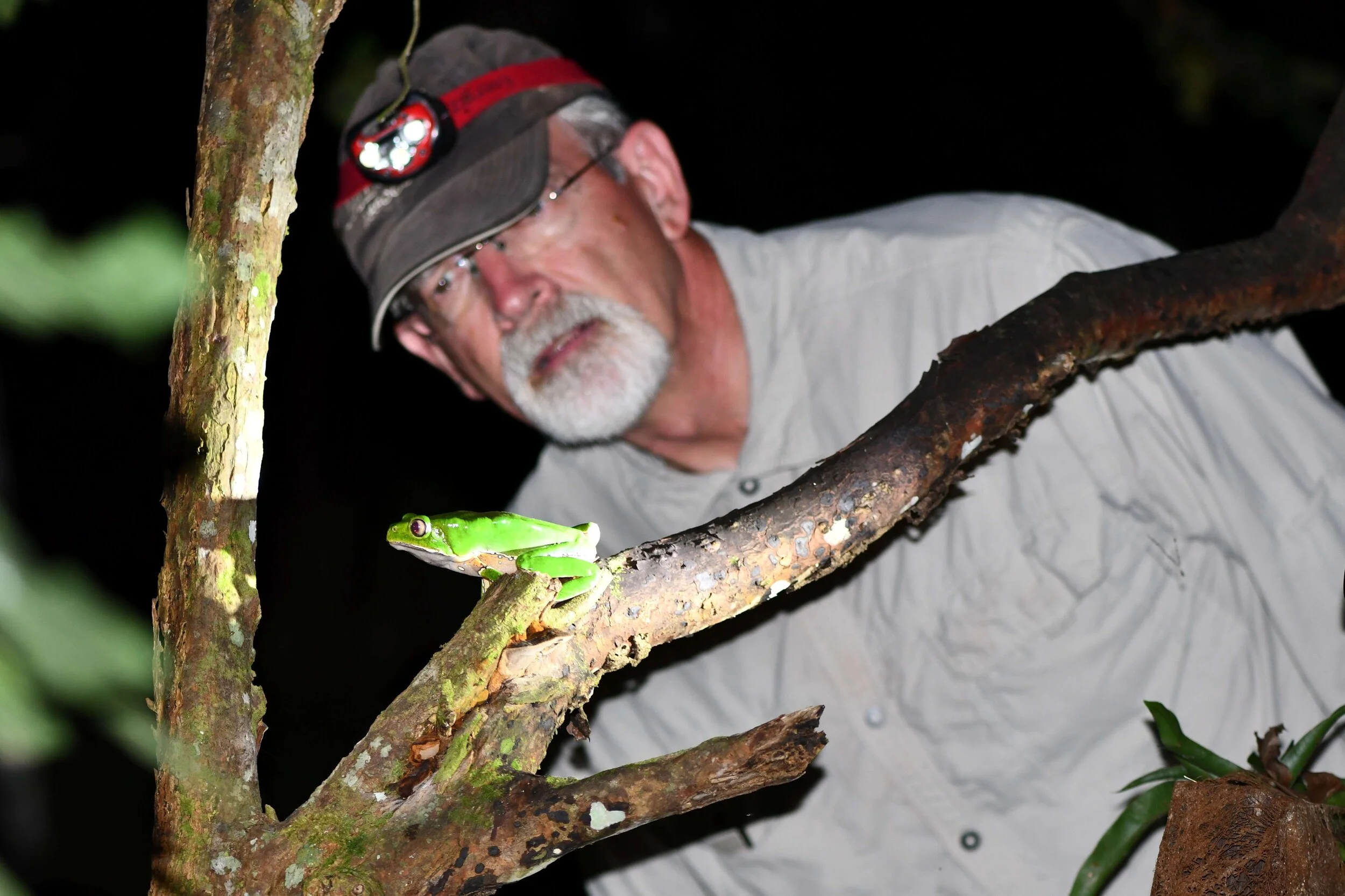 Your experience at Monteverde Night Walk Tour