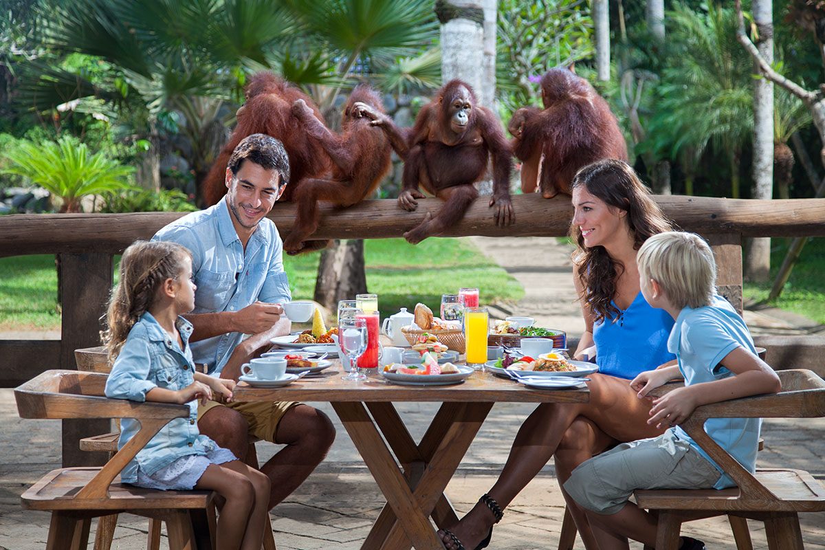 Breakfast With Orangutans Bali