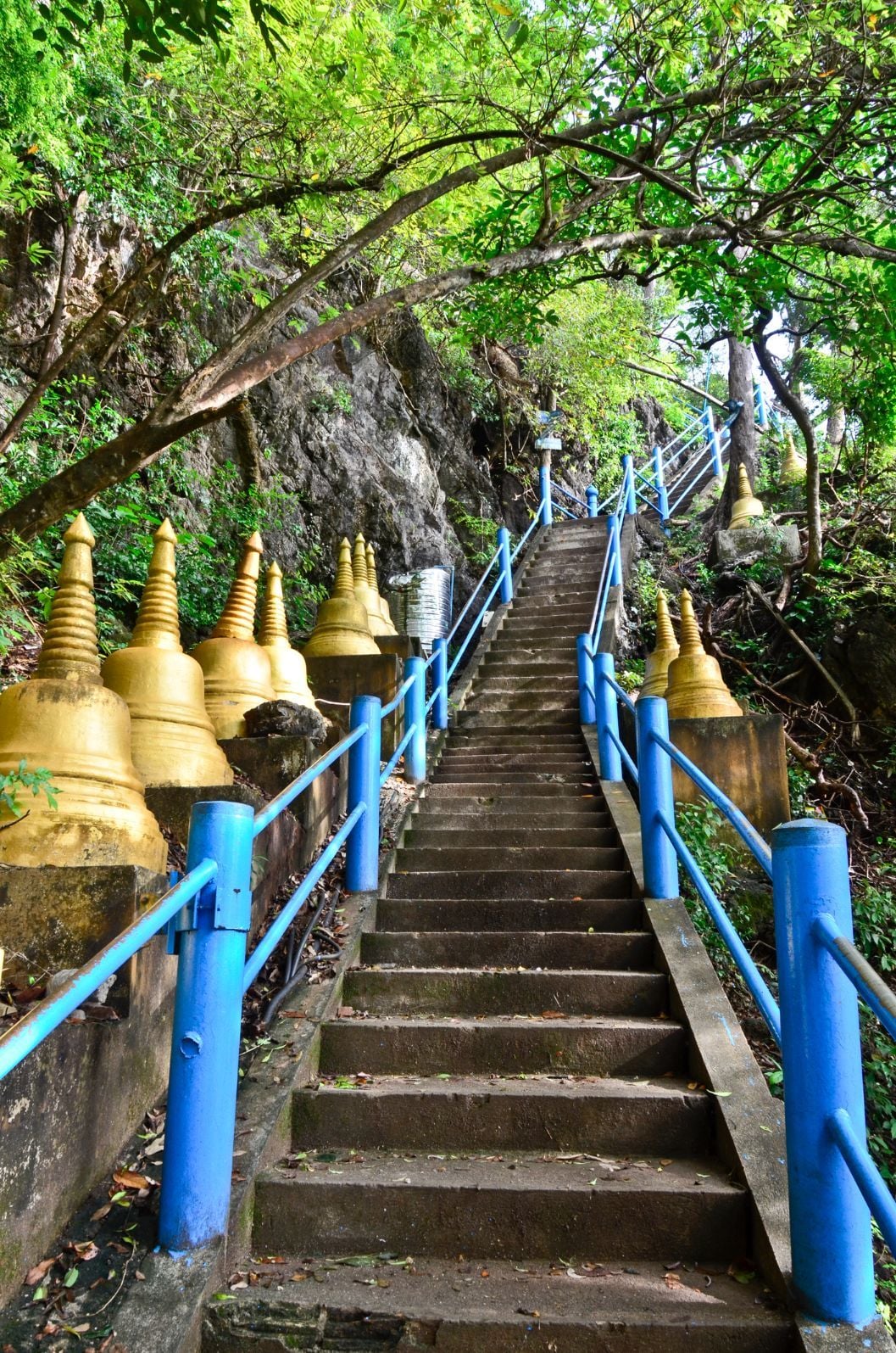 Krabi Jungle Tour National Park Fee