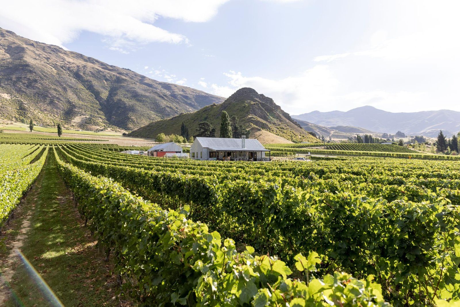 Queenstown Wine Tours