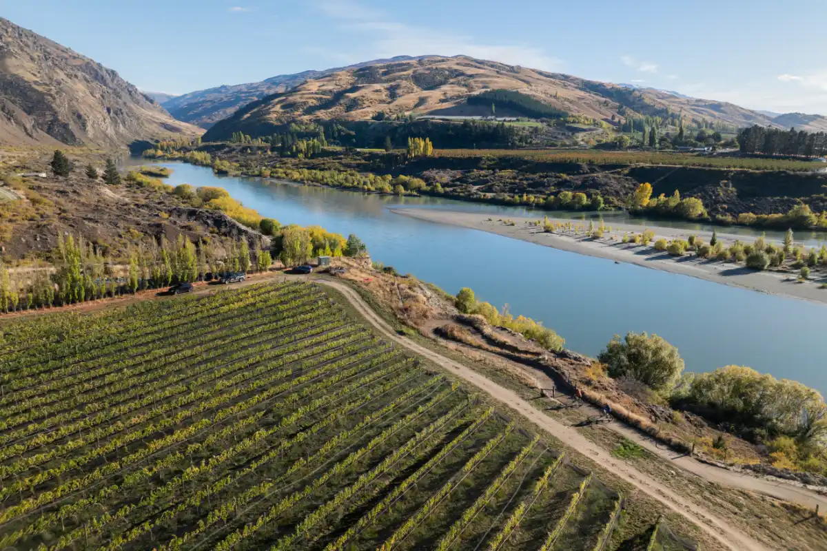 Kawarau Gorge Vineyard