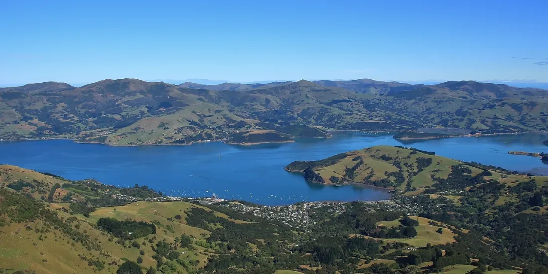Akaroa Dolphin Cruise on the Harbour