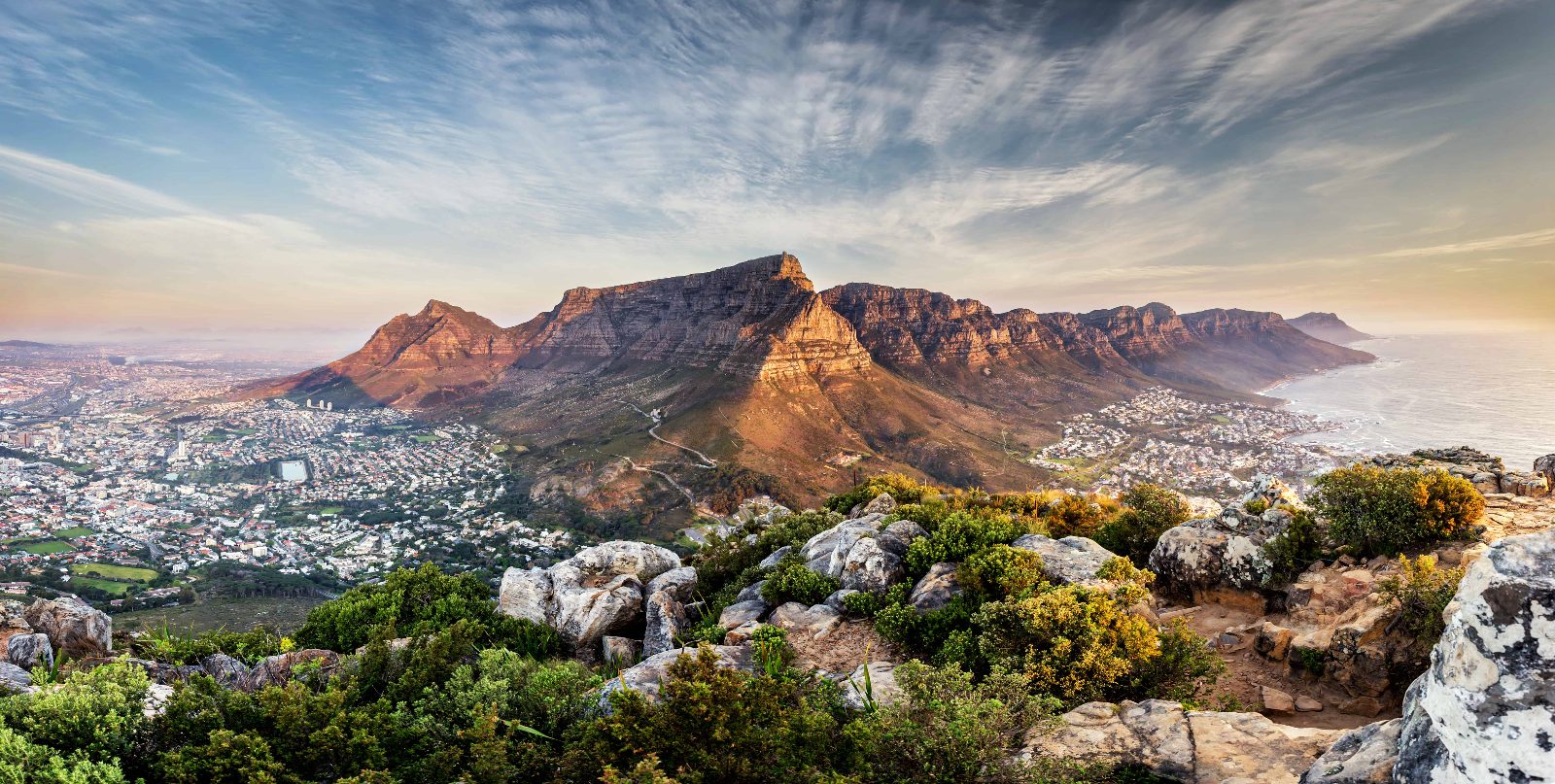 Table Mountain Backdrop