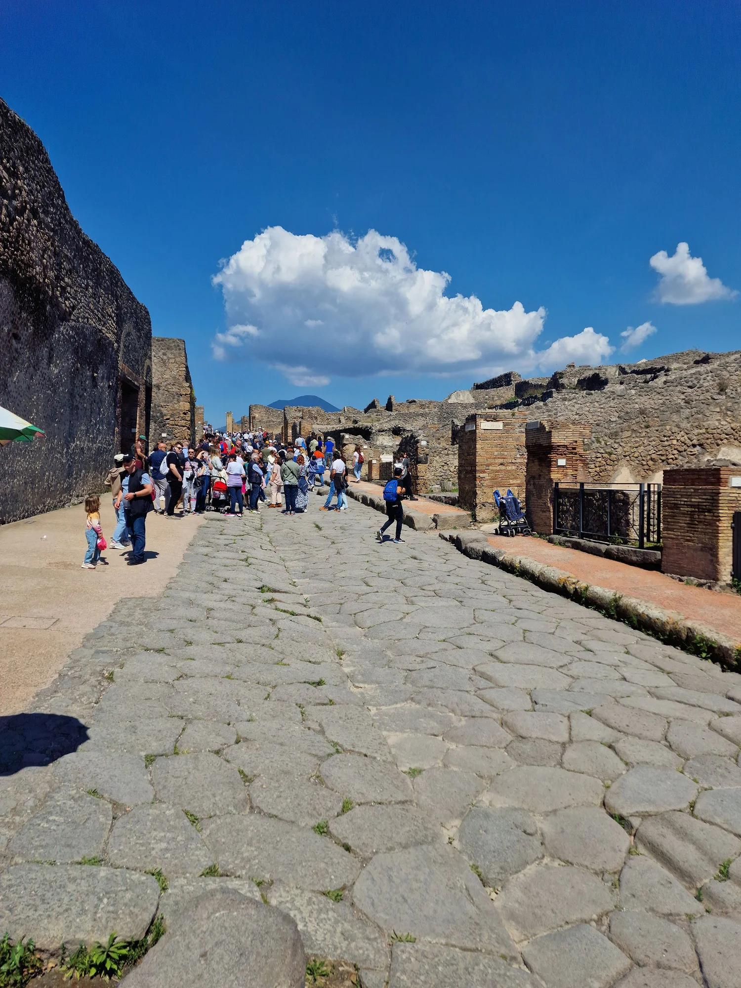 Your experience at Pompeii and Herculaneum Tour
