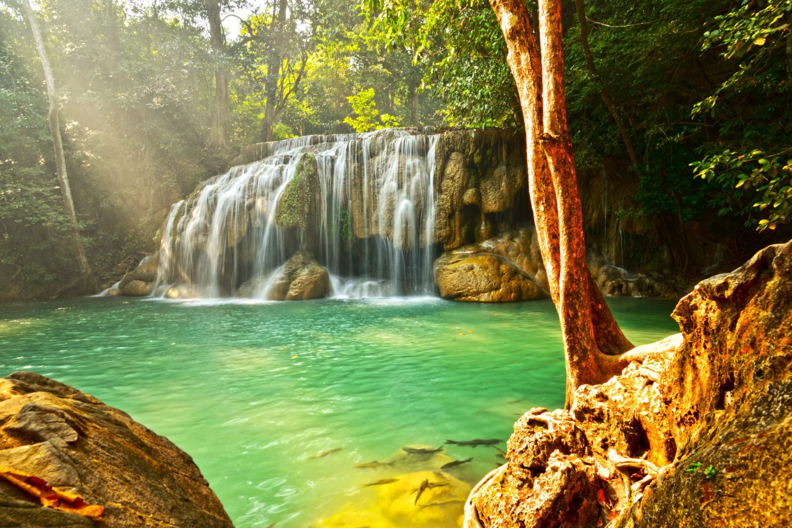 Waterfall Hike