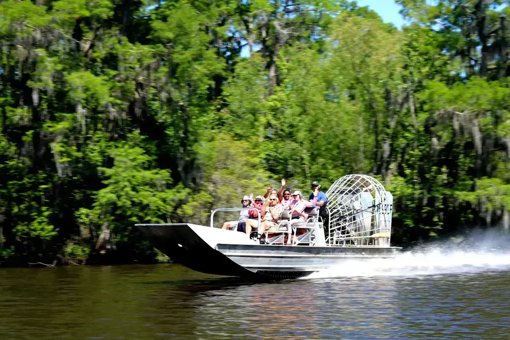 Your experience at New Orleans Airboat Tours