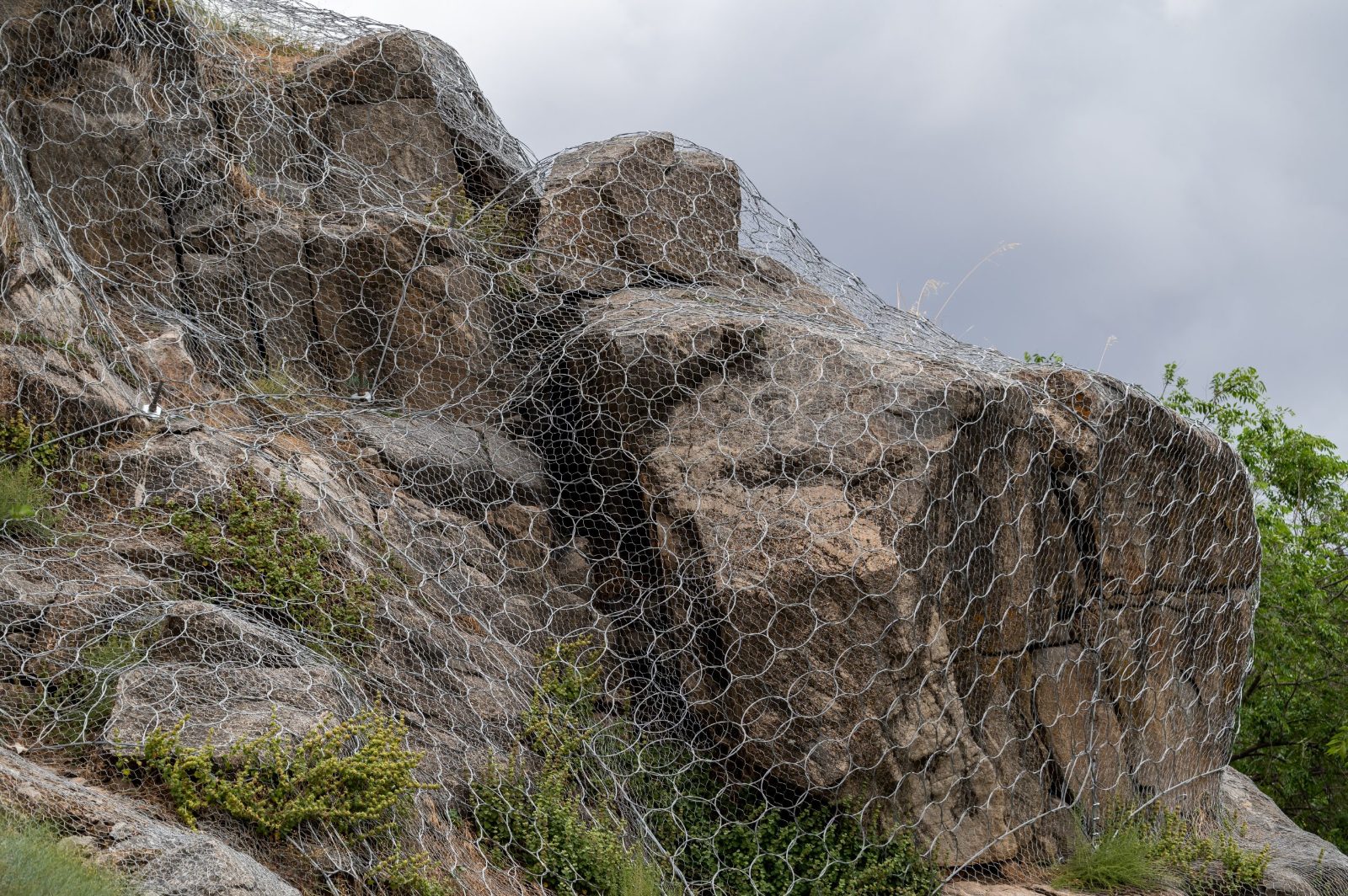 Spider Web Net