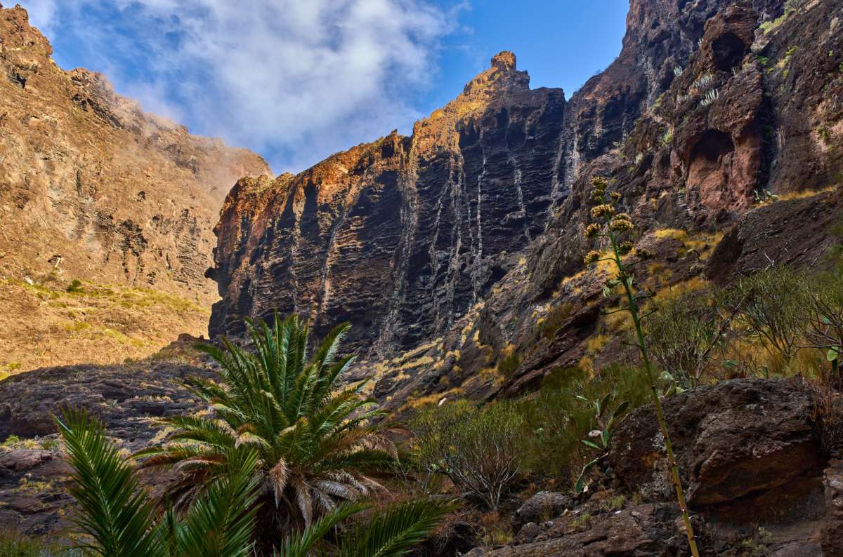 Masca Gorge Hike Through Tenerife's Barranco