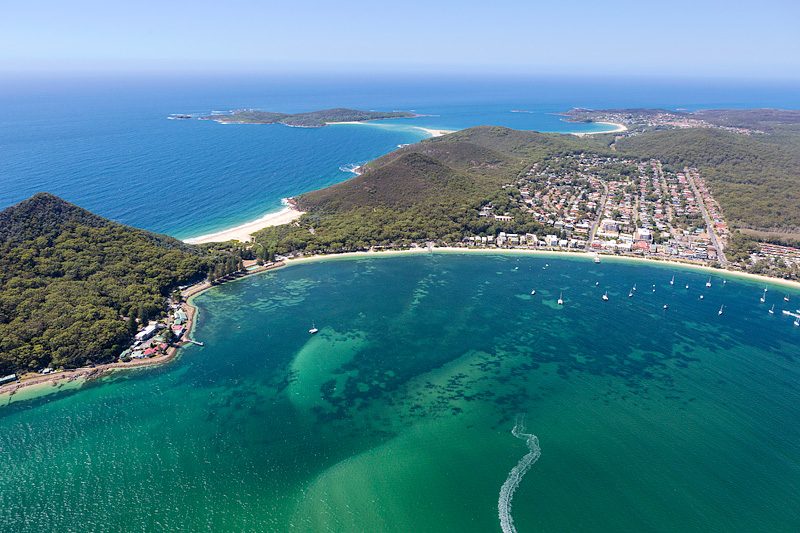Nelson Bay Dolphin Cruise on Port Stephens