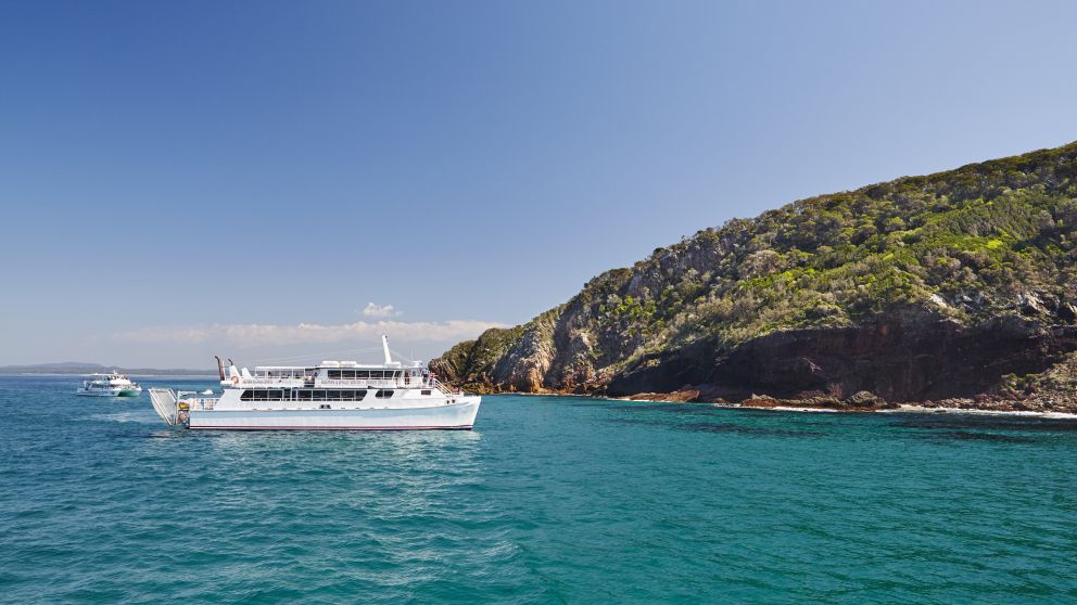 Nelson Bay Dolphin Cruise