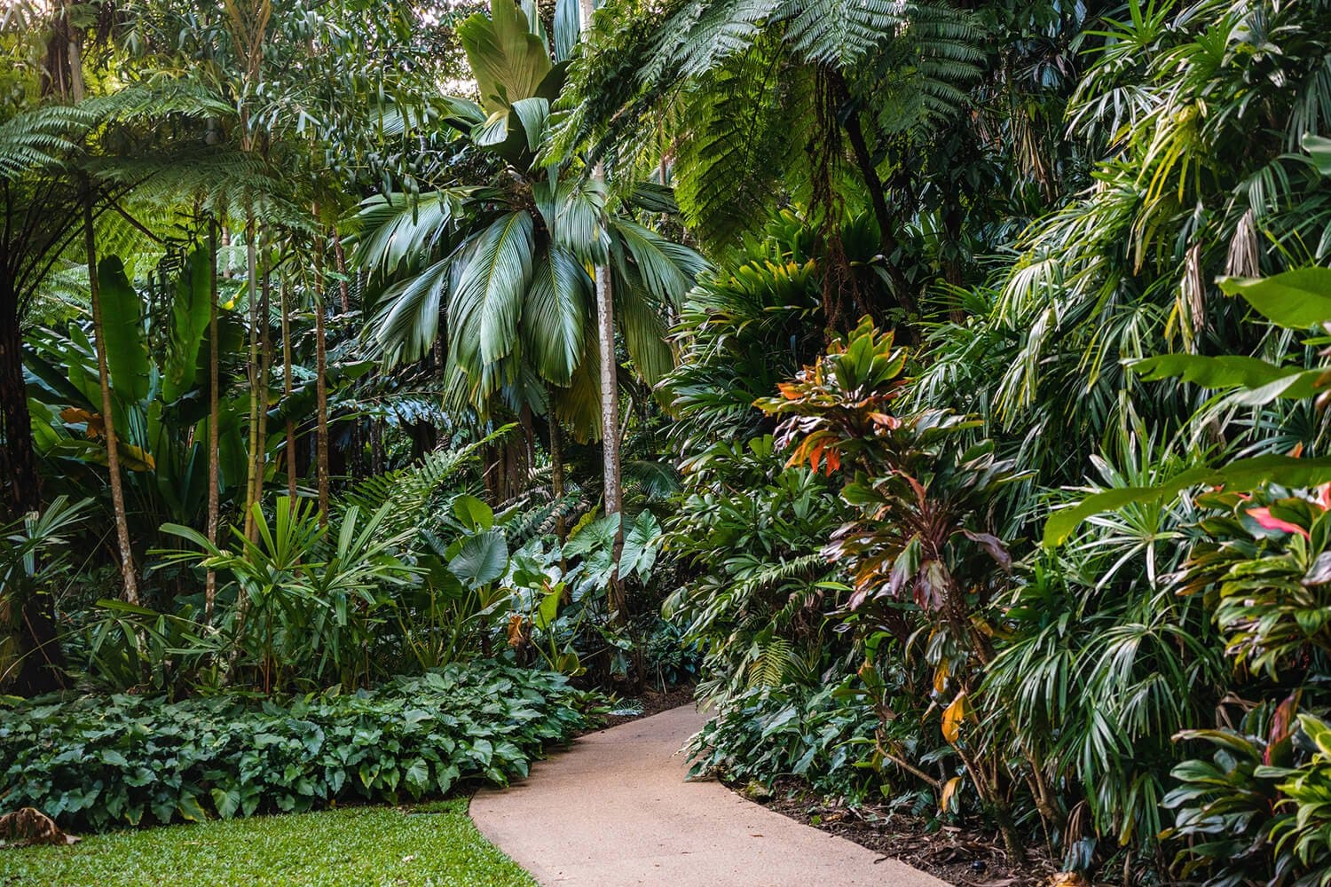 Cairns Botanic Gardens
