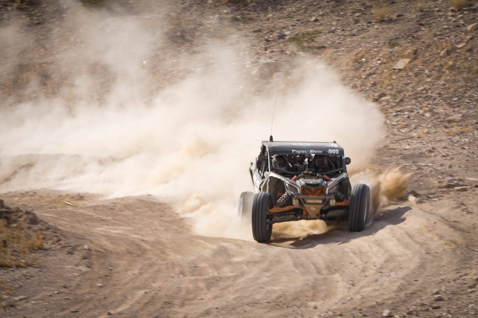 Your experience at Algarve Buggy Tours