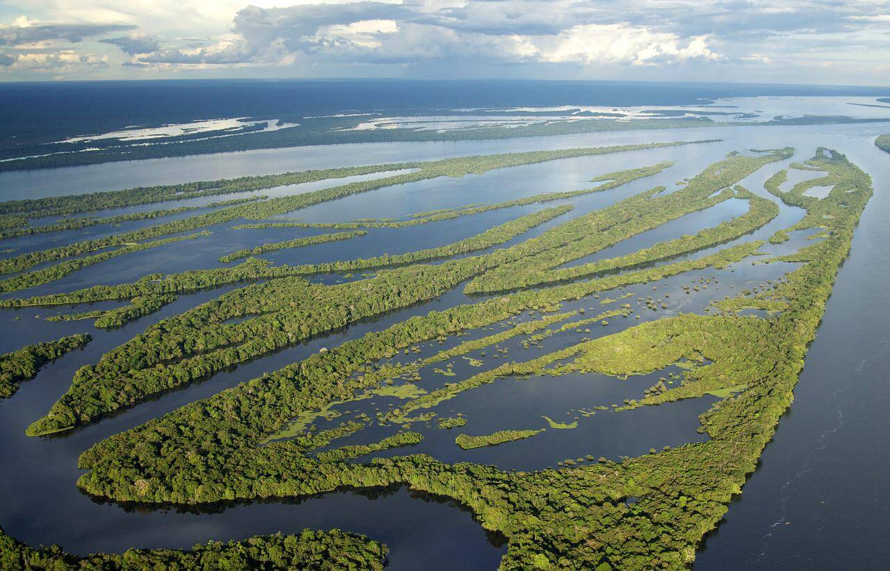 Anavilhanas Archipelago