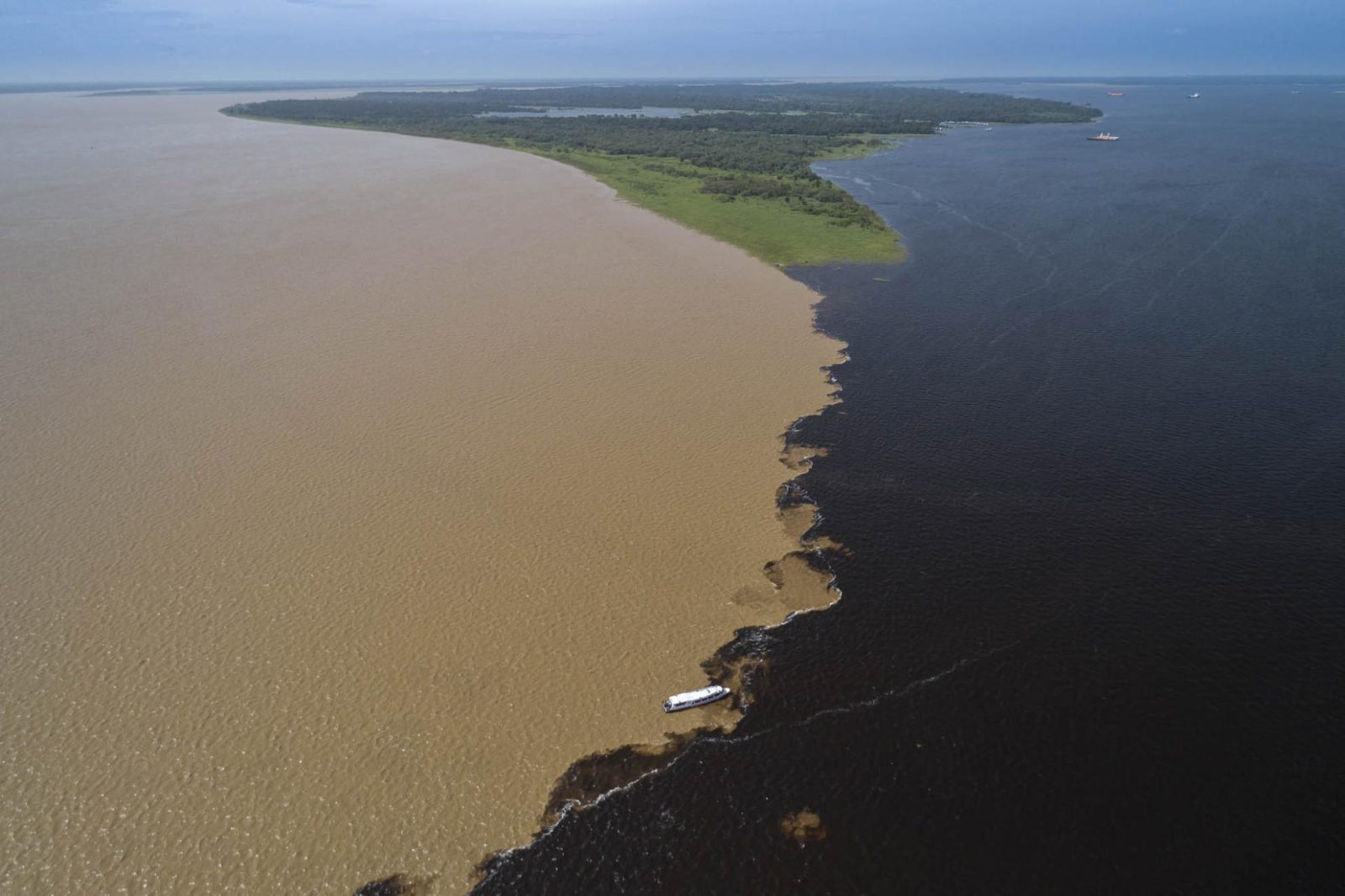 Amazon Tours from Manaus: What to Expect