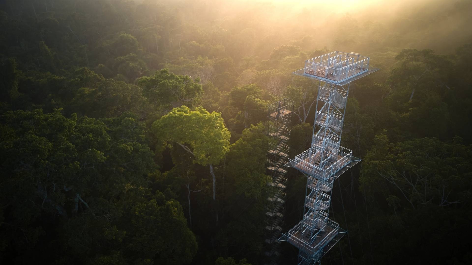 Canopy Observation