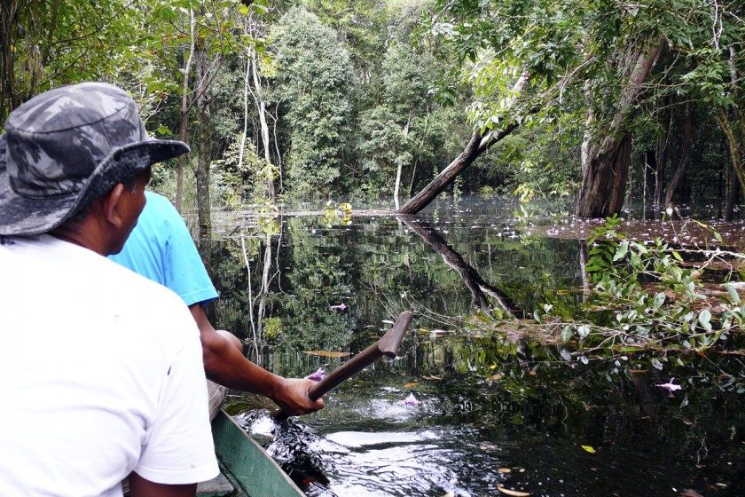 Your experience at Amazon Tours From Manaus