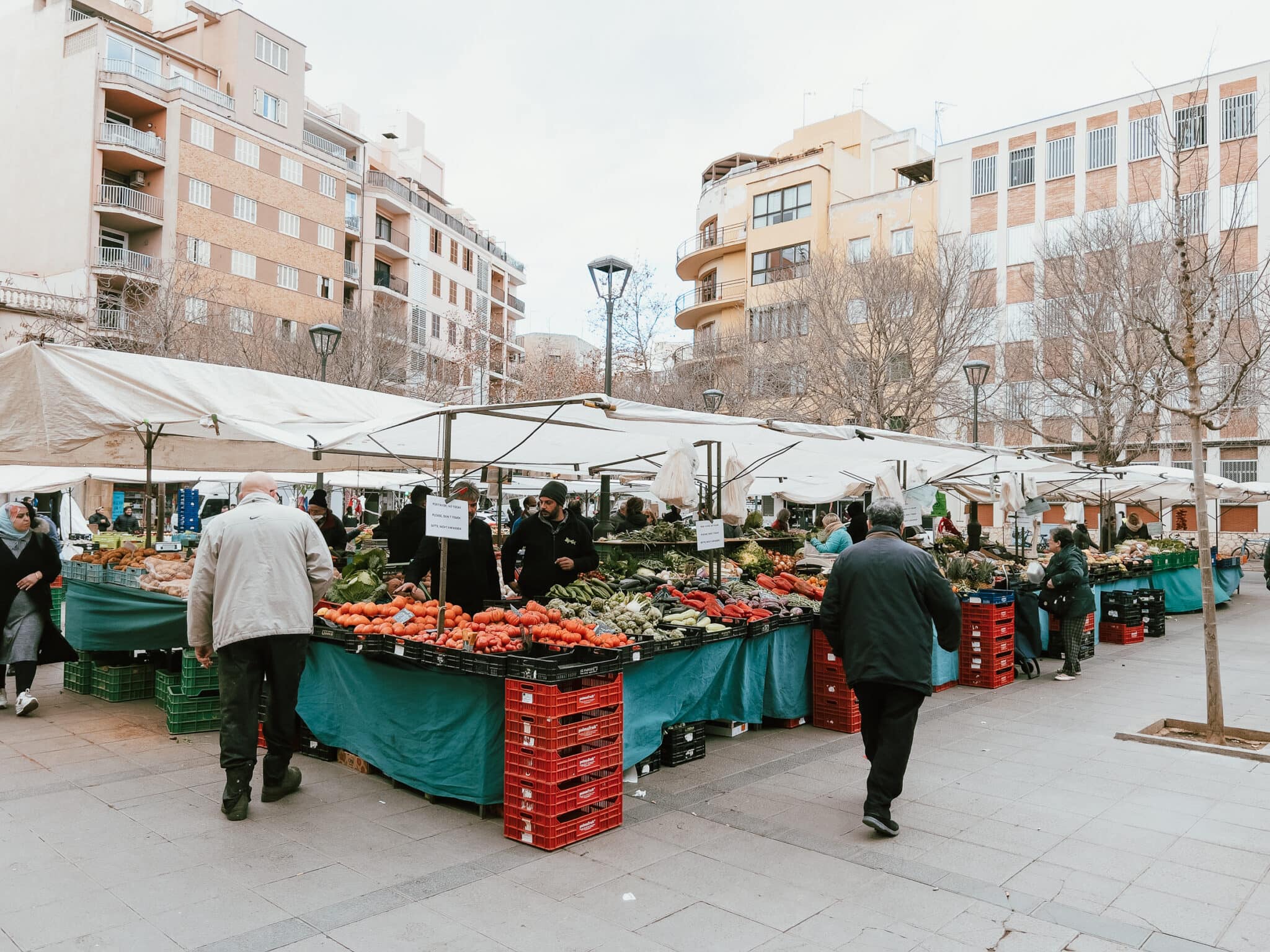 Market Visit