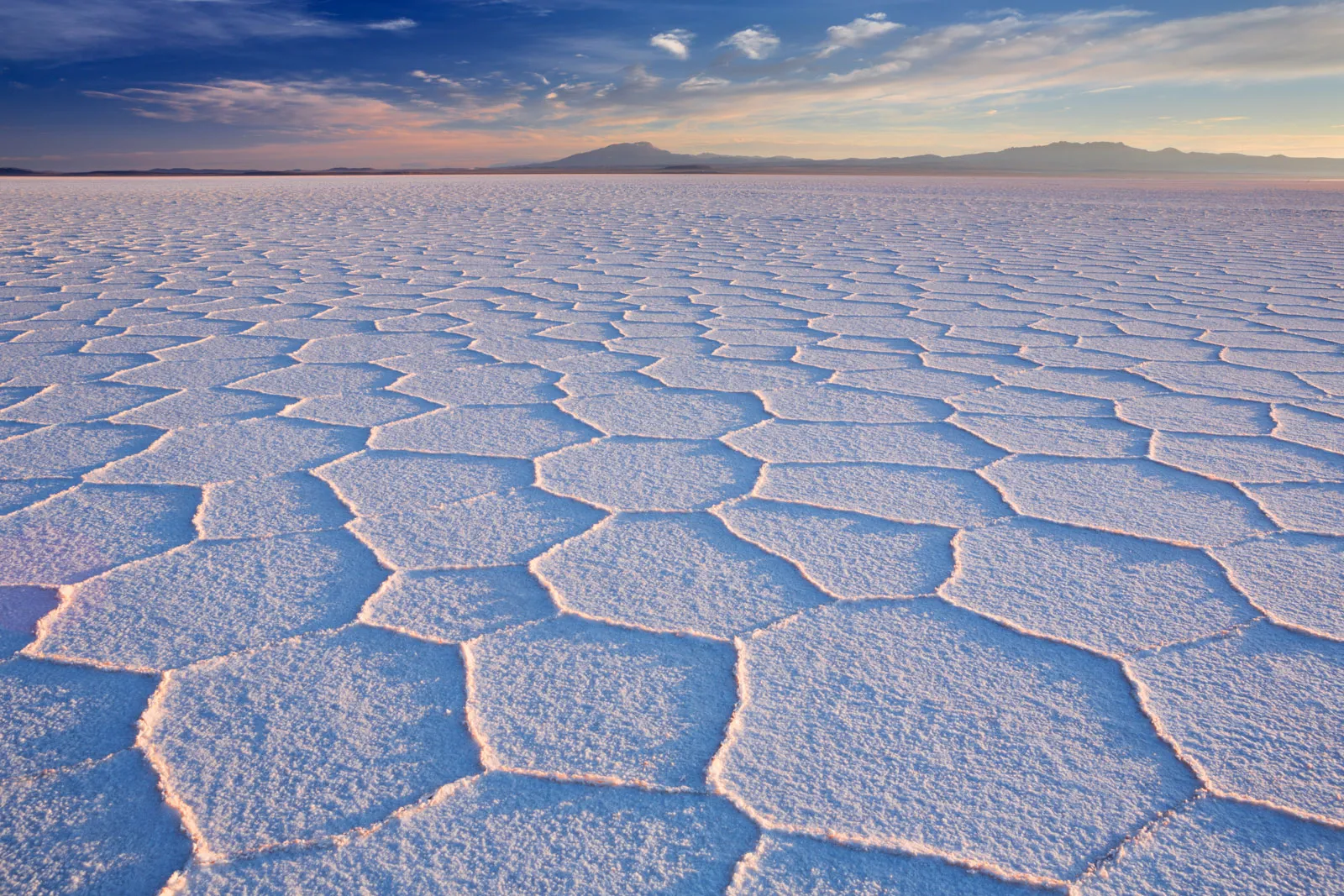 Altiplanic Salt Crust