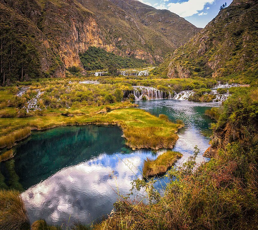 Andean Wetland