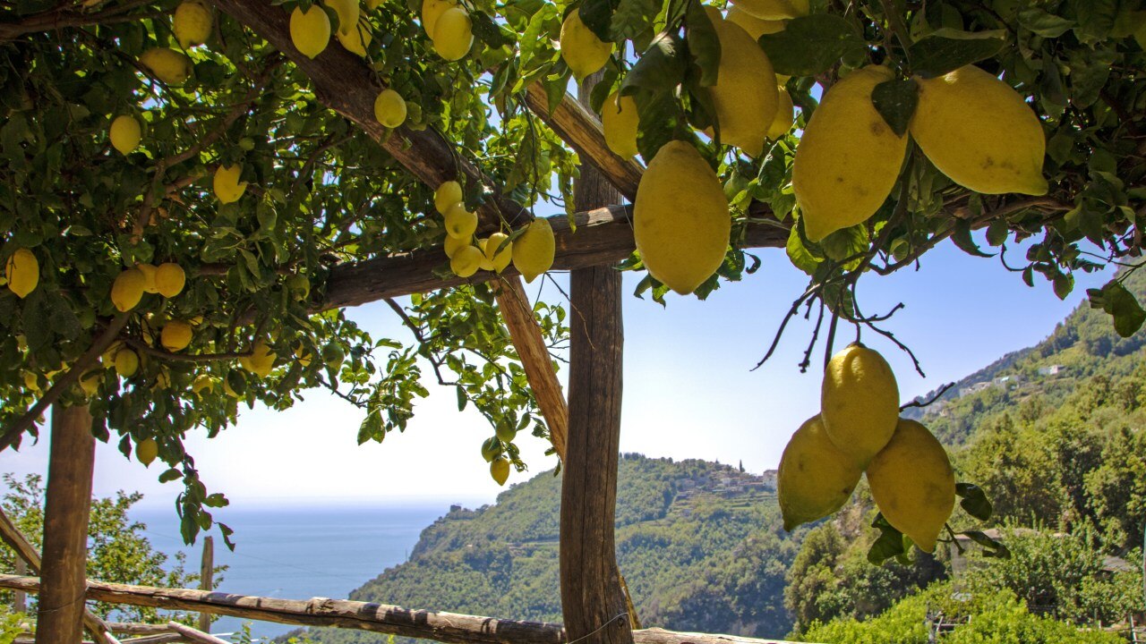 Amalfi Cooking Class