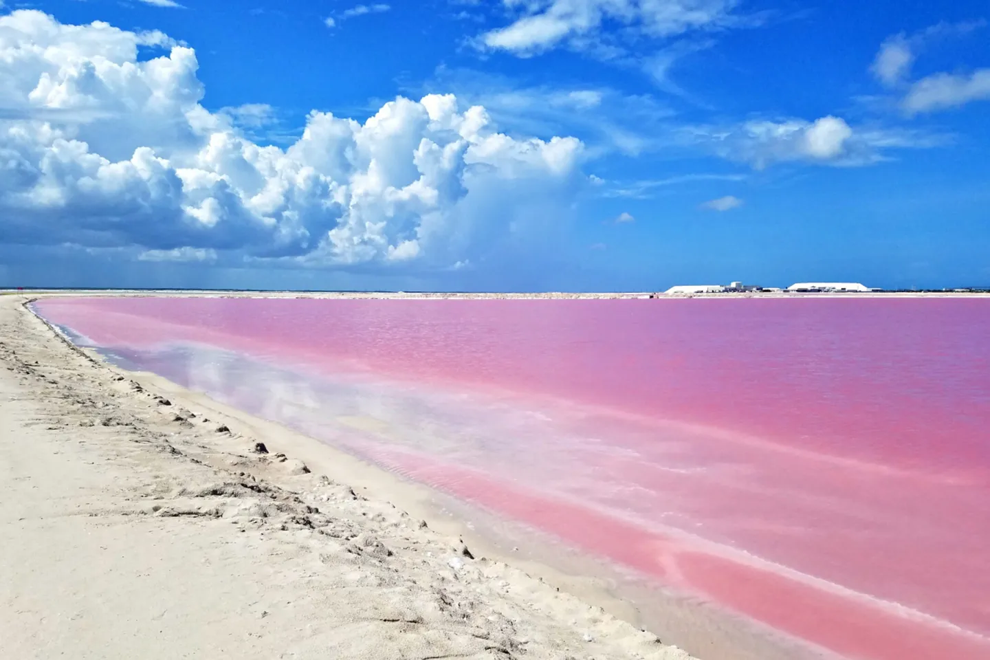 Las Coloradas Tour