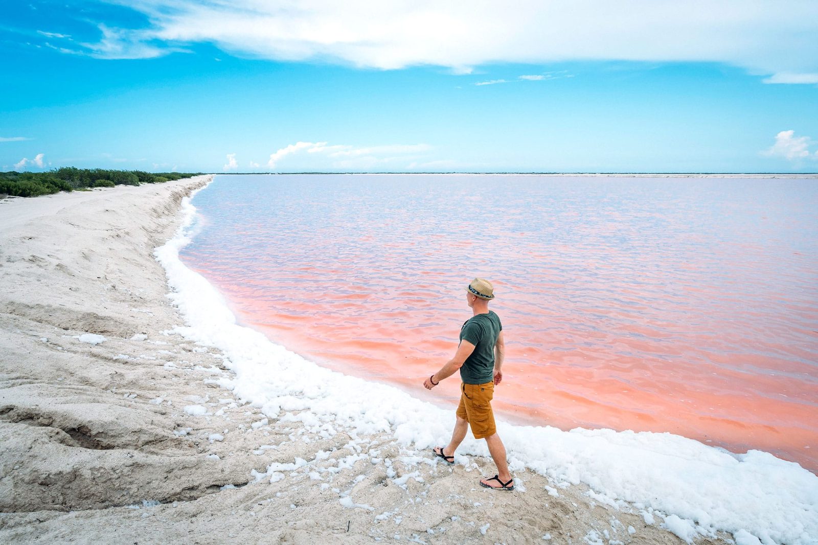 Your experience at Las Coloradas Tour