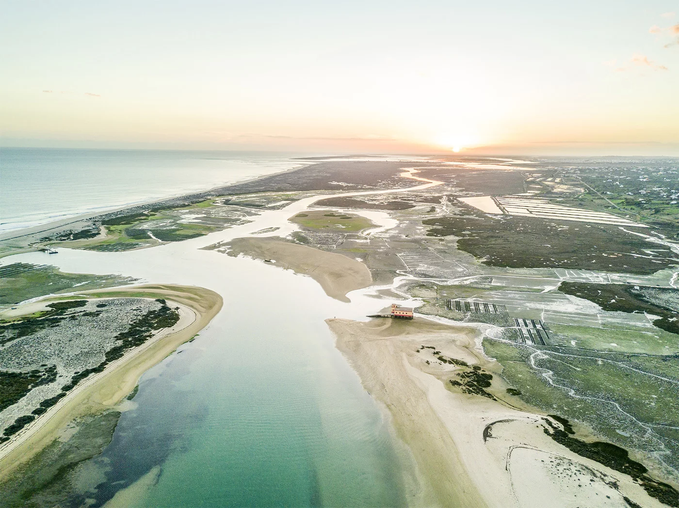 Delfinbeobachtung in der Ria Formosa in Faro