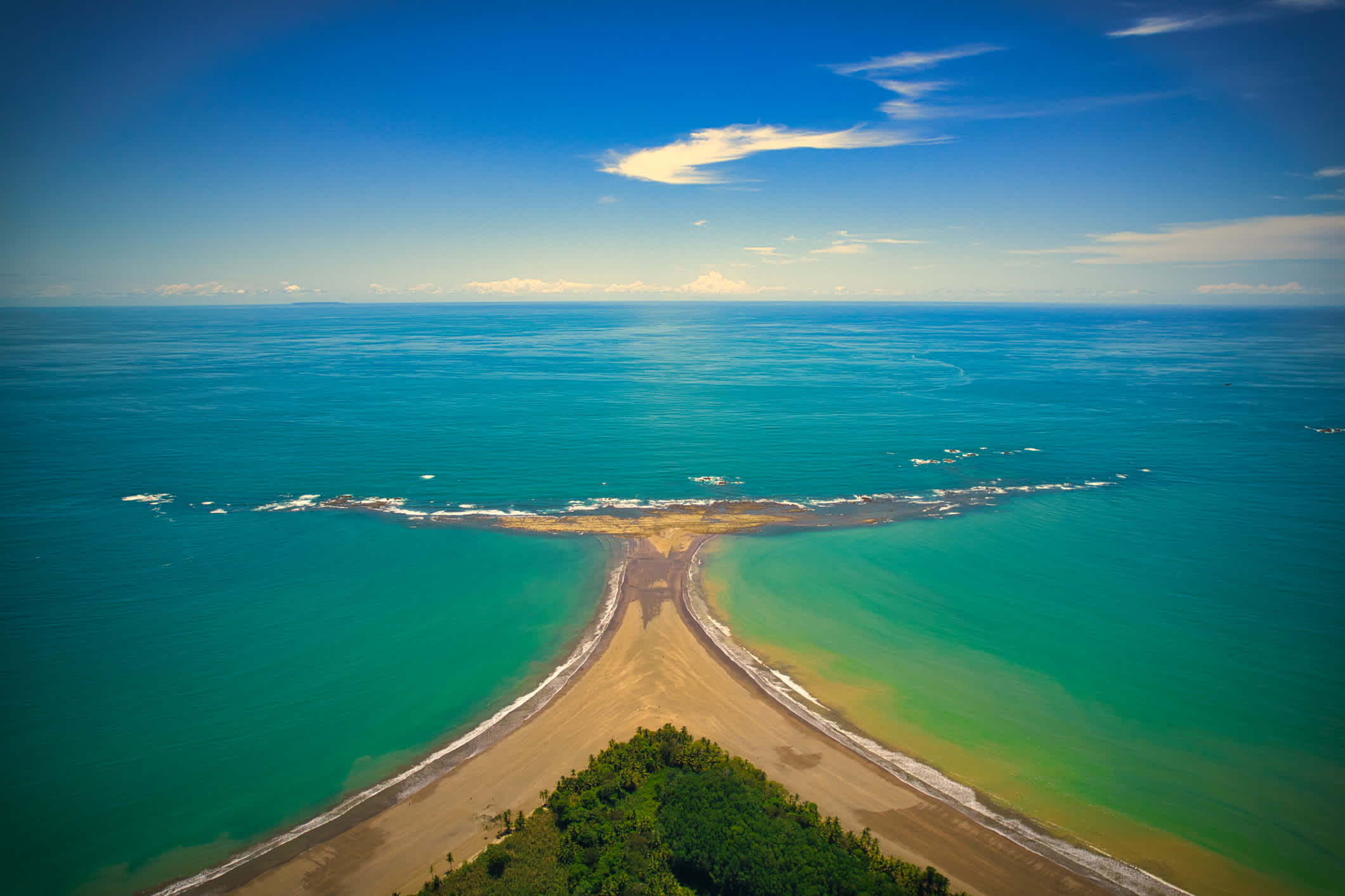Isla Ballena