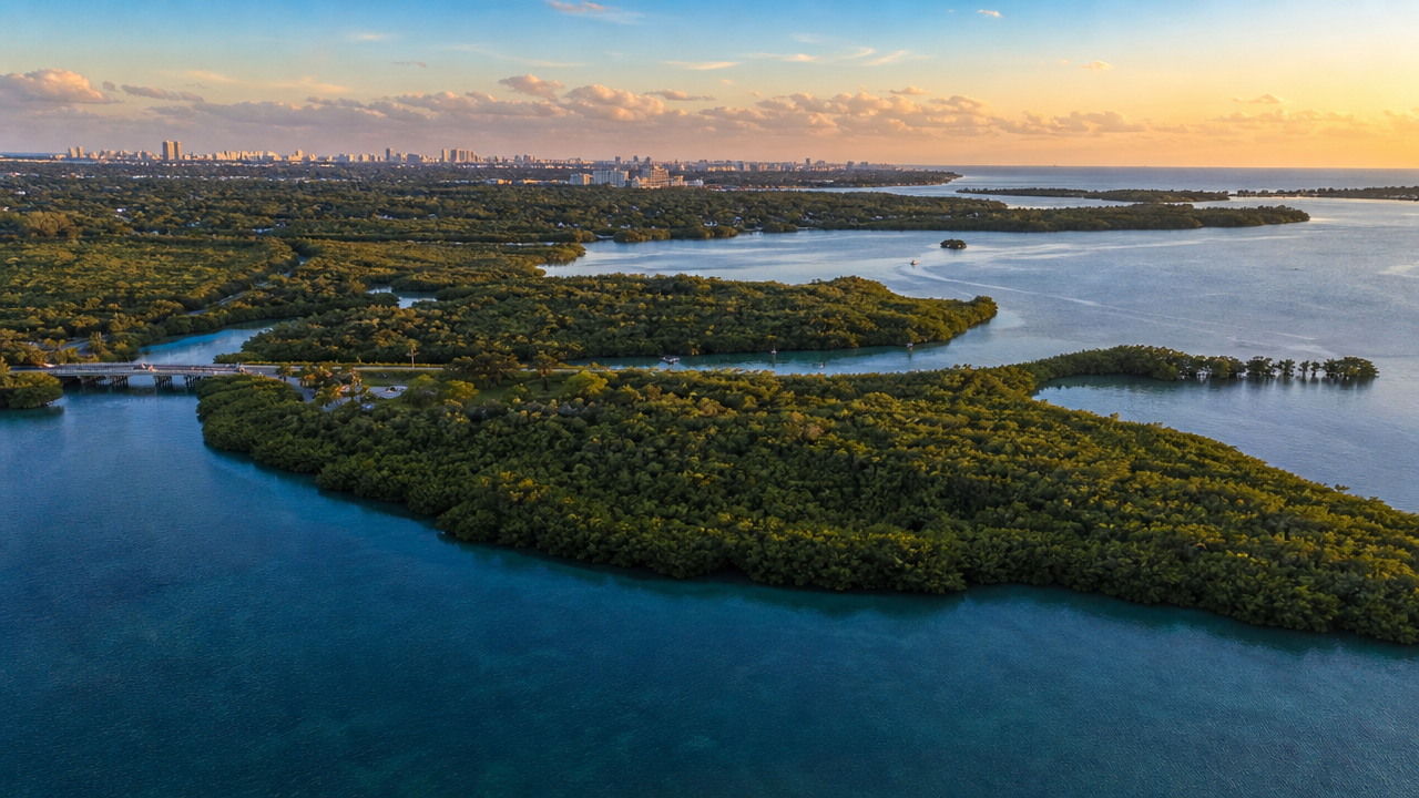 Raccoon Island Kayak Tour: What to Expect