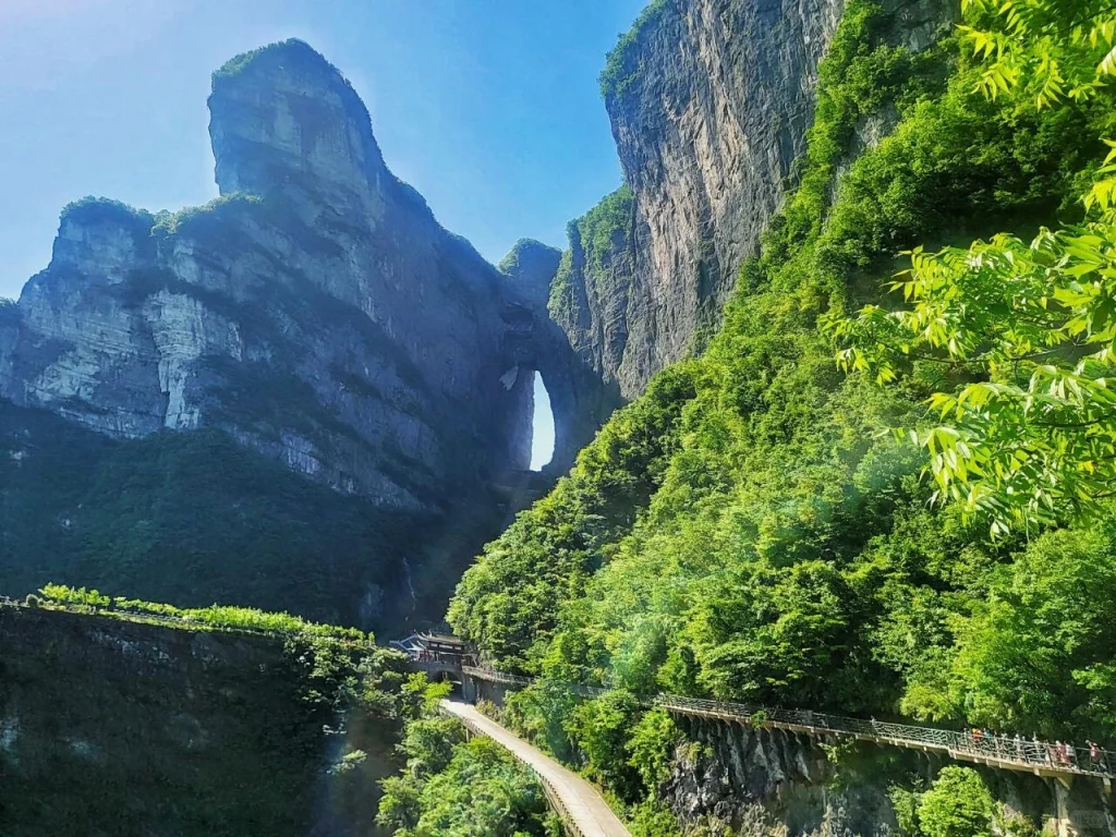 Tianmen Mountain & Zhangjiajie National Forest Park Combo