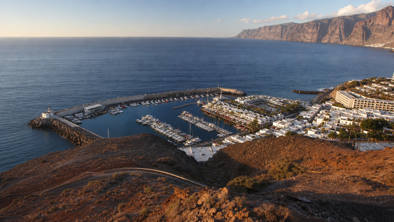Dolphin Watching Gran Canaria: What to Expect