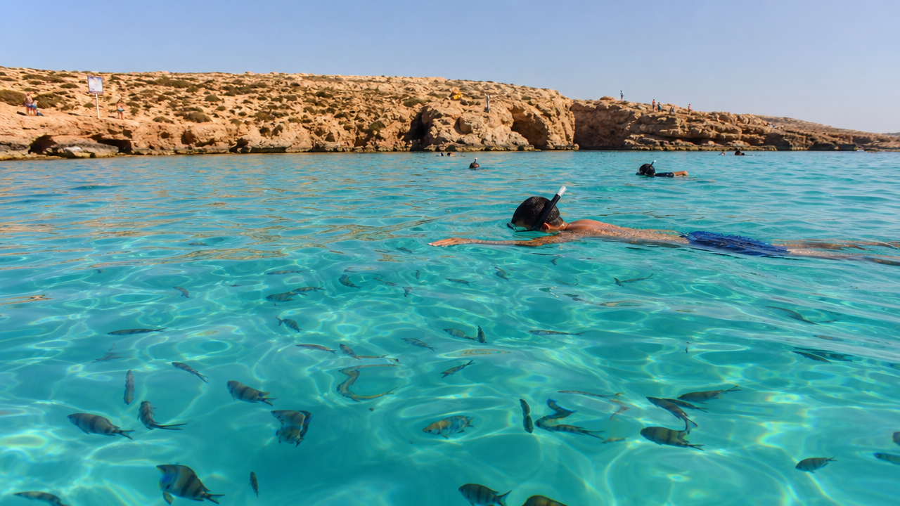 Marine Life