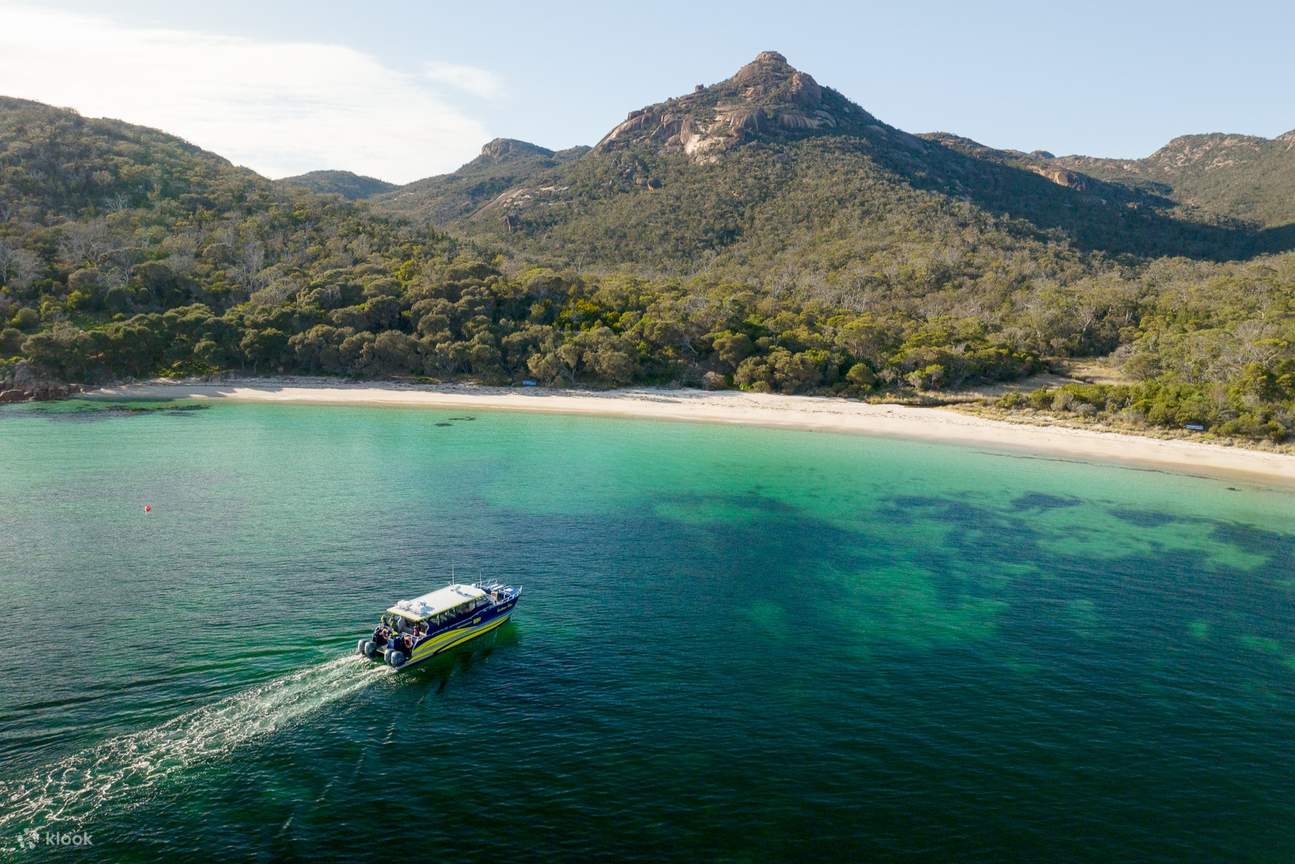 Your experience at Wineglass Bay Cruises